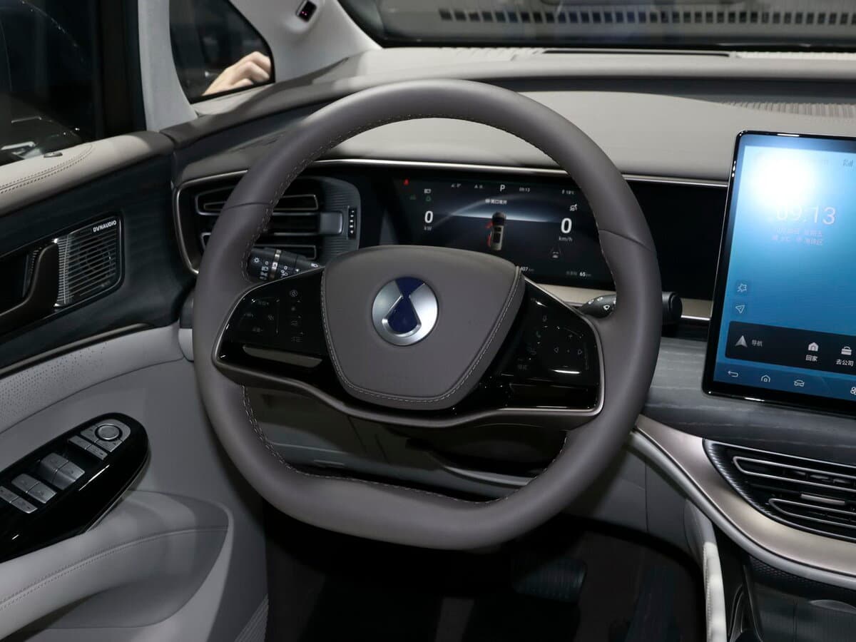 Denza D9 I — Sükan