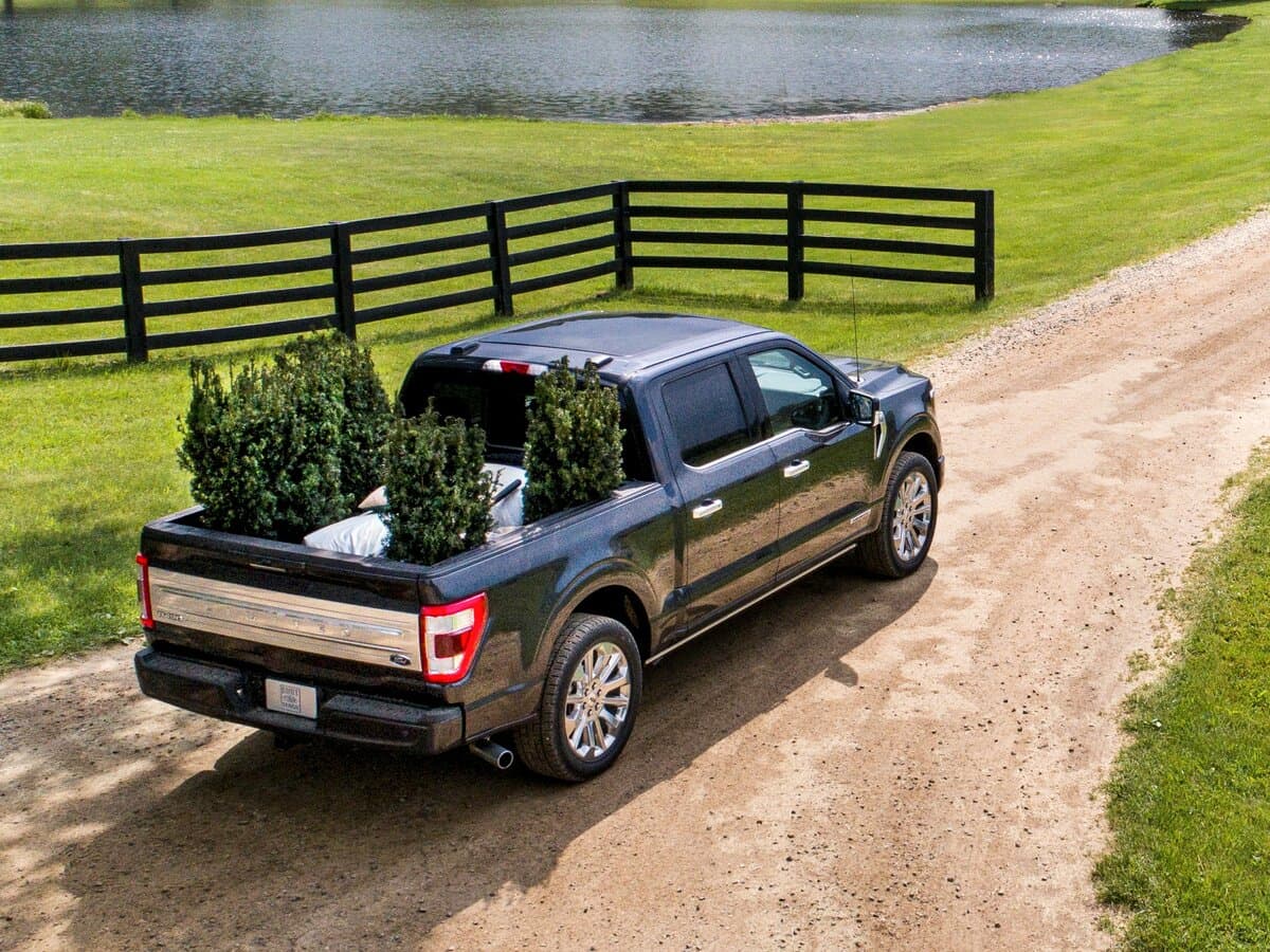 Ford F-150 XIV — 3/4 arxadan