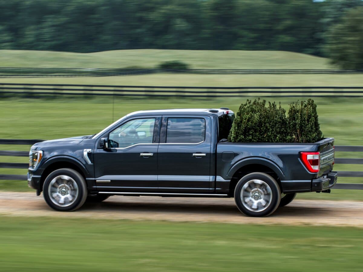 Ford F-150 XIV — Yandan