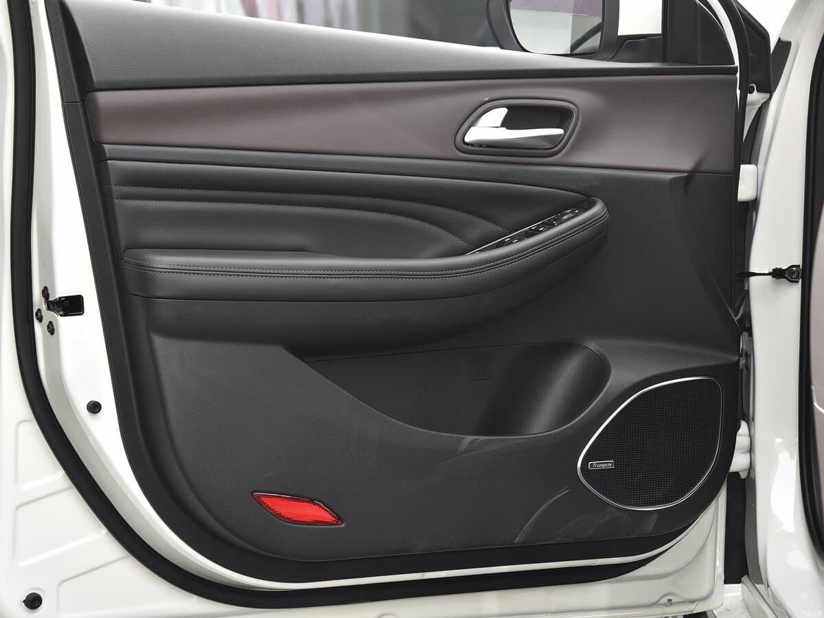 GAC Trumpchi GA4 2018 – 2021 — Qapı
