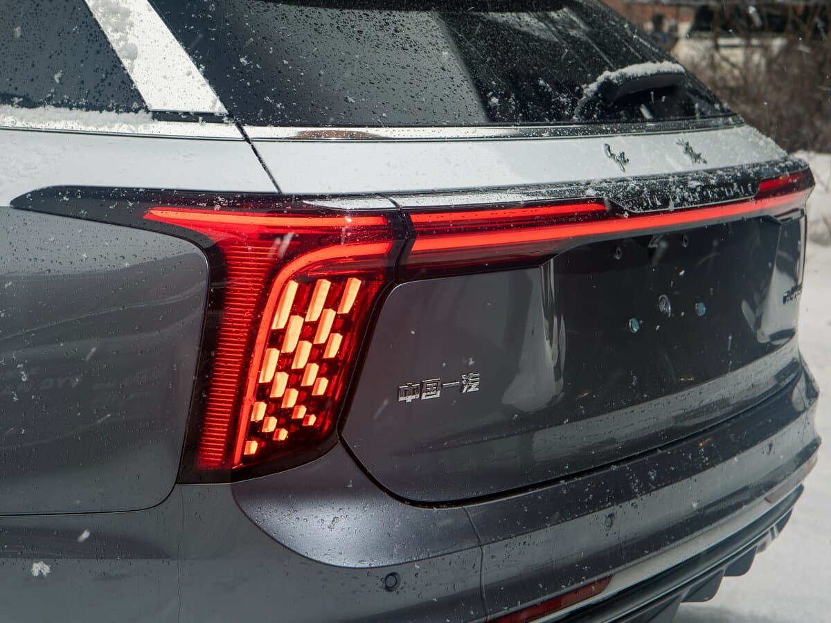 Hongqi E-HS9 2020 – indiyədək — Detal