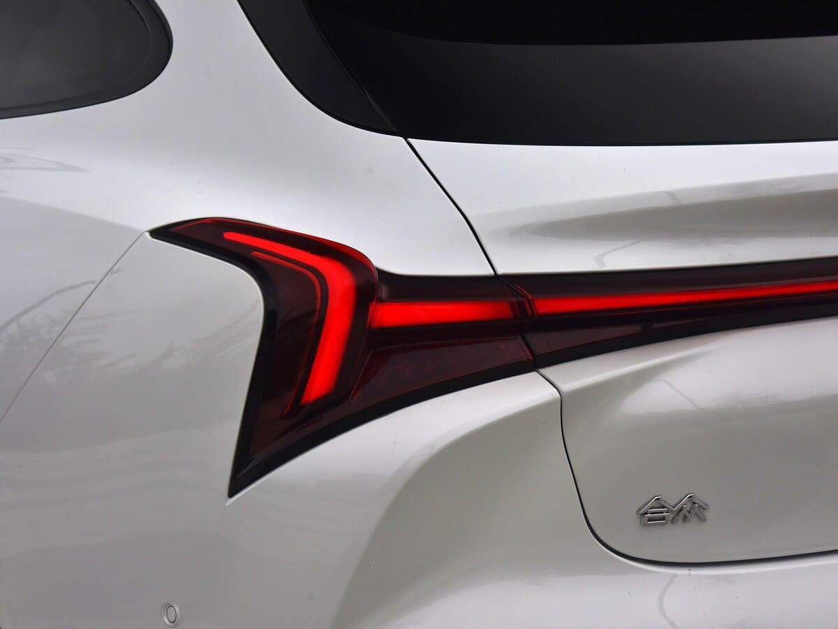Hozon Neta S 2022 – 2025 — Detal