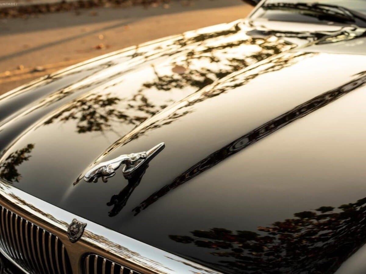 Jaguar XJ II (X308) — Salon, öndən