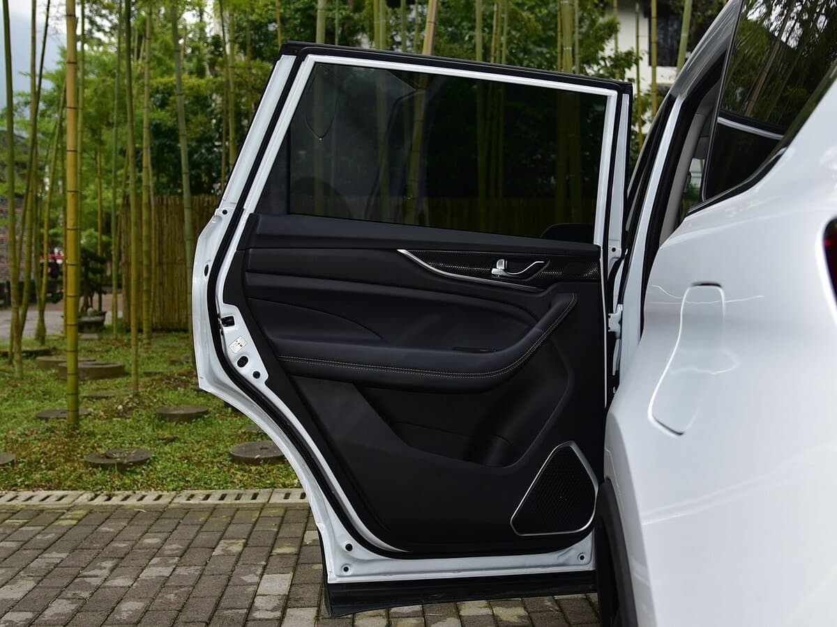 Oshan COS1 GT — Qapı